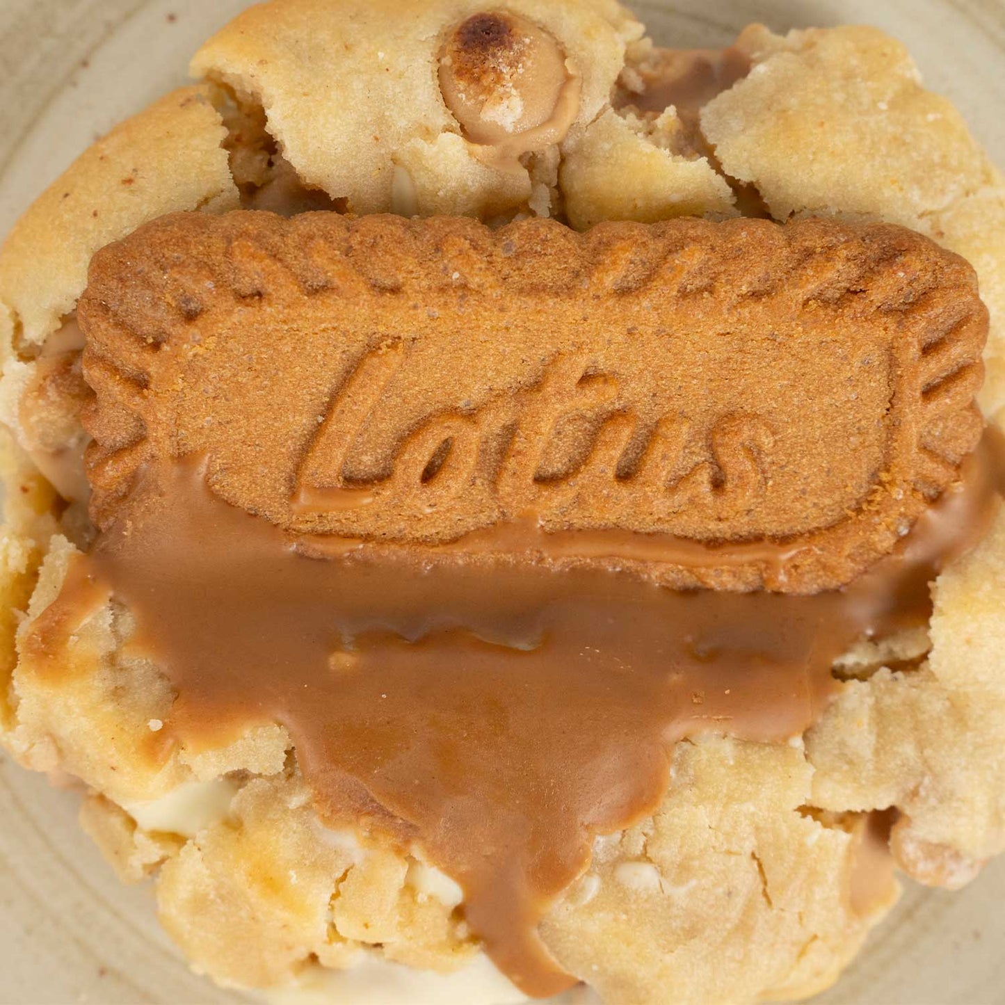 Lotuslu Kurabiye – 1 Kutu ( 30 Adet )